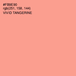 #FB9E90 - Vivid Tangerine Color Image